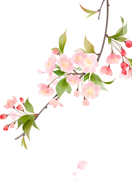 fd0989acd5c7633ba7bca64db8ebf56c.png